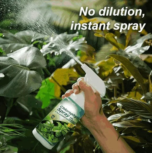 Aarij Mart Chlorophll Spray 100 ml for All Plant Types