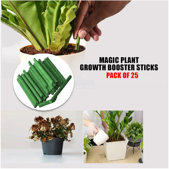 Green Fertilizer Plant Sticks, 25 Pieces (Pack of 1)